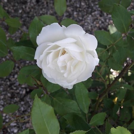 Gite Le Pilat Vernoux-en-Vivarais Eksteriør billede